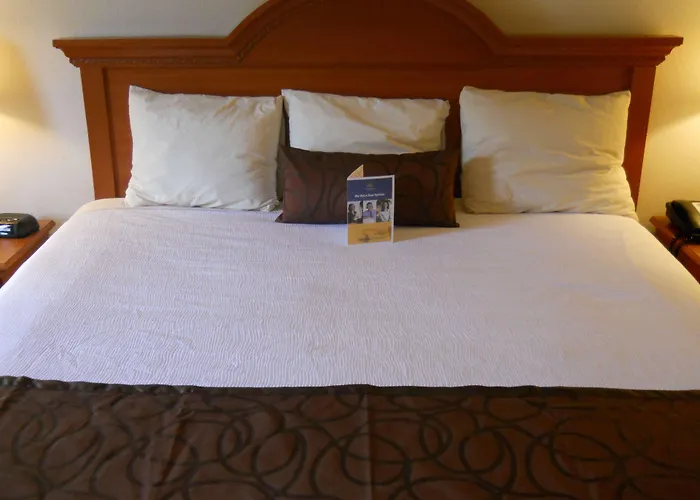 Best Western Windsor Inn&Suites